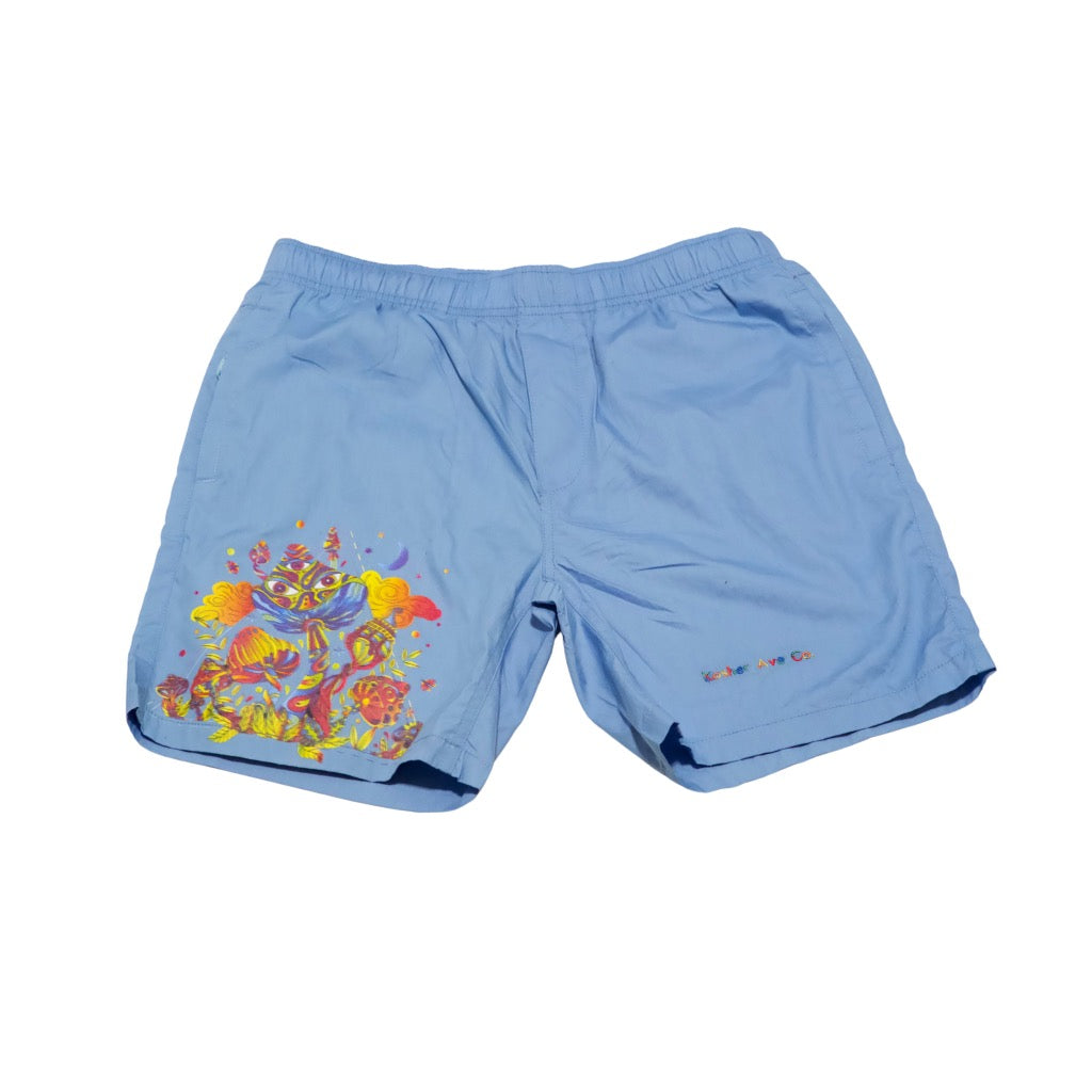 Kosher Psychedelic Beach Shorts
